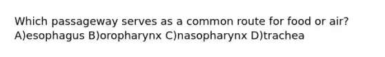 Which passageway serves as a common route for food or air? A)esophagus B)oropharynx C)nasopharynx D)trachea