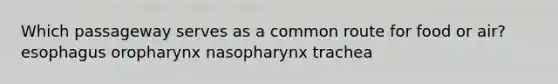 Which passageway serves as a common route for food or air? esophagus oropharynx nasopharynx trachea