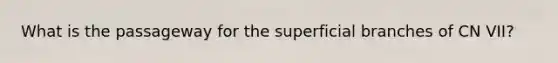 What is the passageway for the superficial branches of CN VII?