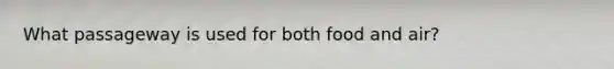 What passageway is used for both food and air?