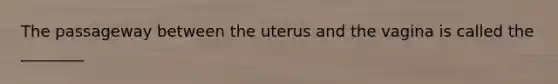 The passageway between the uterus and the vagina is called the ________