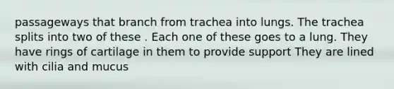 passageways that branch from trachea into lungs. The trachea splits into two of these . Each one of these goes to a lung. They have rings of cartilage in them to provide support They are lined with cilia and mucus