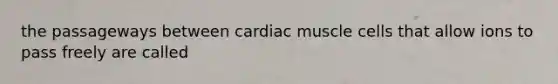 the passageways between cardiac muscle cells that allow ions to pass freely are called