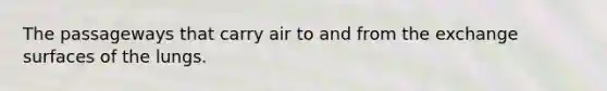 The passageways that carry air to and from the exchange surfaces of the lungs.