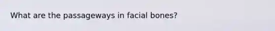 What are the passageways in facial bones?