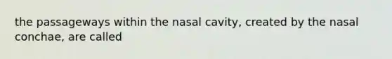 the passageways within the nasal cavity, created by the nasal conchae, are called