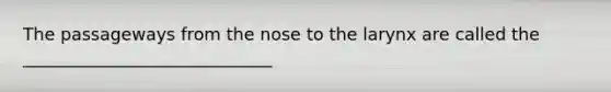 The passageways from the nose to the larynx are called the _____________________________