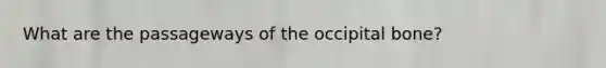 What are the passageways of the occipital bone?