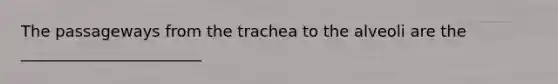 The passageways from the trachea to the alveoli are the _______________________