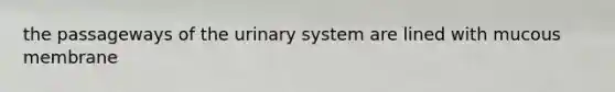 the passageways of the urinary system are lined with mucous membrane