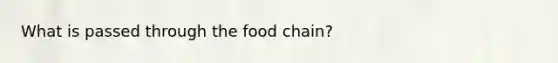 What is passed through the food chain?