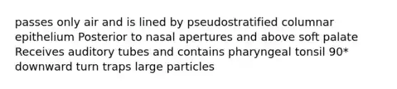 passes only air and is lined by pseudostratified columnar epithelium Posterior to nasal apertures and above soft palate Receives auditory tubes and contains pharyngeal tonsil 90* downward turn traps large particles