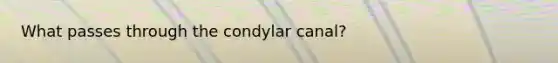 What passes through the condylar canal?