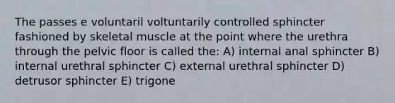 The passes e voluntaril voltuntarily controlled sphincter fashioned by skeletal muscle at the point where the urethra through the pelvic floor is called the: A) internal anal sphincter B) internal urethral sphincter C) external urethral sphincter D) detrusor sphincter E) trigone