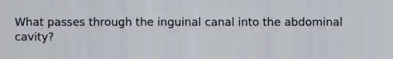 What passes through the inguinal canal into the abdominal cavity?