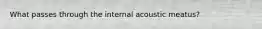 What passes through the internal acoustic meatus?