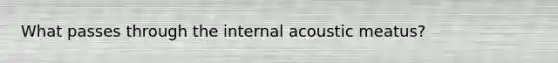 What passes through the internal acoustic meatus?