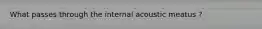 What passes through the internal acoustic meatus ?