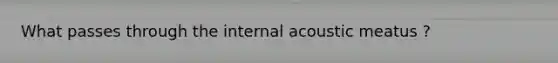 What passes through the internal acoustic meatus ?