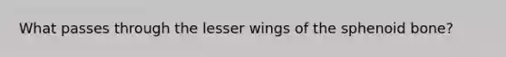 What passes through the lesser wings of the sphenoid bone?