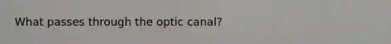 What passes through the optic canal?