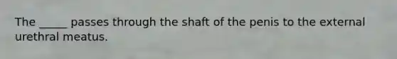 The _____ passes through the shaft of the penis to the external urethral meatus.