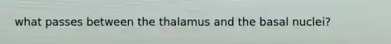 what passes between the thalamus and the basal nuclei?