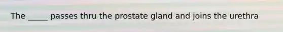 The _____ passes thru the prostate gland and joins the urethra