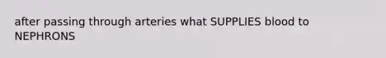 after passing through arteries what SUPPLIES blood to NEPHRONS