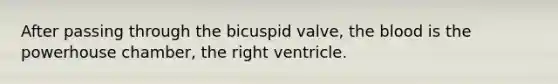 After passing through the bicuspid valve, the blood is the powerhouse chamber, the right ventricle.