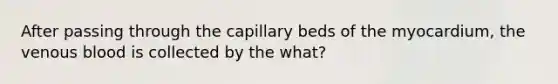 After passing through the capillary beds of the myocardium, the venous blood is collected by the what?