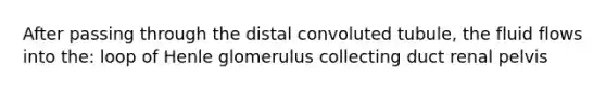 After passing through the distal convoluted tubule, the fluid flows into the: loop of Henle glomerulus collecting duct renal pelvis