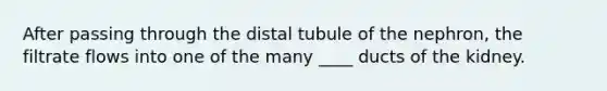 After passing through the distal tubule of the nephron, the filtrate flows into one of the many ____ ducts of the kidney.