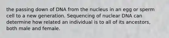 the passing down of DNA from the nucleus in an egg or sperm cell to a new generation. Sequencing of nuclear DNA can determine how related an individual is to all of its ancestors, both male and female.