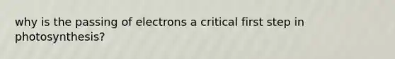 why is the passing of electrons a critical first step in photosynthesis?