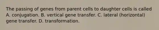 The passing of genes from parent cells to daughter cells is called A. conjugation. B. vertical gene transfer. C. lateral (horizontal) gene transfer. D. transformation.