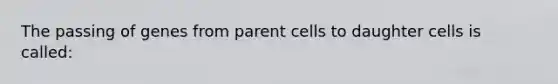 The passing of genes from parent cells to daughter cells is called: