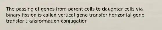 The passing of genes from parent cells to daughter cells via binary fission is called vertical gene transfer horizontal gene transfer transformation conjugation