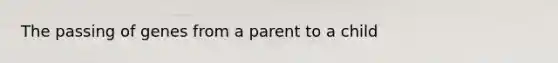 The passing of genes from a parent to a child