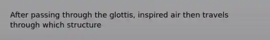 After passing through the glottis, inspired air then travels through which structure