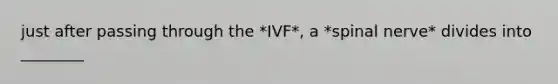 just after passing through the *IVF*, a *spinal nerve* divides into ________