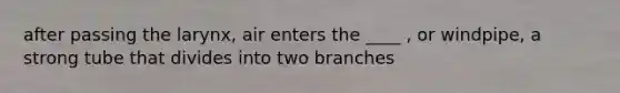 after passing the larynx, air enters the ____ , or windpipe, a strong tube that divides into two branches