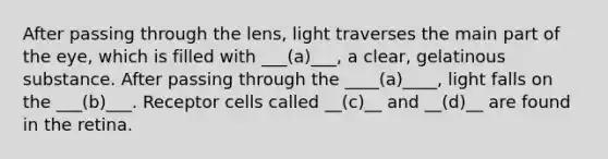 After passing through the lens, light traverses the main part of the eye, which is filled with ___(a)___, a clear, gelatinous substance. After passing through the ____(a)____, light falls on the ___(b)___. Receptor cells called __(c)__ and __(d)__ are found in the retina.