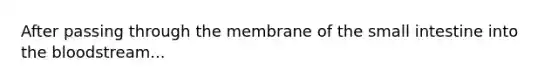 After passing through the membrane of the small intestine into the bloodstream...