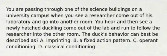 You are passing through one of the science buildings on a university campus when you see a researcher come out of his laboratory and go into another room. You hear and then see a newly hatched duckling come out of the lab and run to follow the researcher into the other room. The duck's behavior can best be described as? A. imprinting. B. a fixed action pattern. C. <a href='https://www.questionai.com/knowledge/kcaiZj2J12-operant-conditioning' class='anchor-knowledge'>operant conditioning</a>. D. <a href='https://www.questionai.com/knowledge/kI6awfNO2B-classical-conditioning' class='anchor-knowledge'>classical conditioning</a>.