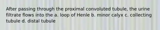 After passing through the proximal convoluted tubule, the urine filtrate flows into the a. loop of Henle b. minor calyx c. collecting tubule d. distal tubule