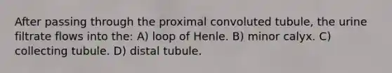 After passing through the proximal convoluted tubule, the urine filtrate flows into the: A) loop of Henle. B) minor calyx. C) collecting tubule. D) distal tubule.