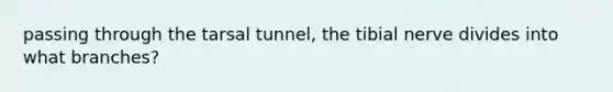 passing through the tarsal tunnel, the tibial nerve divides into what branches?