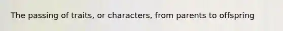 The passing of traits, or characters, from parents to offspring