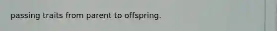 passing traits from parent to offspring.